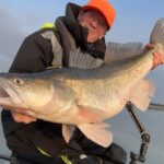 RF_06_25_Mehr_Beweglichkeit_mehr_Zander_02-Alternative