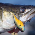 RF_06_25_Zettis_nach_Gusto_03