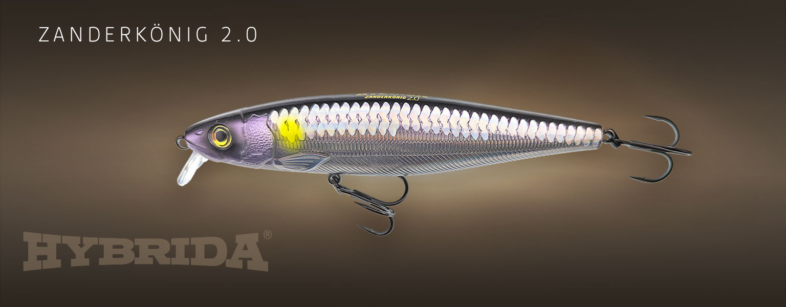 Zanderkönig 2.0 Zanderkönig 2.0