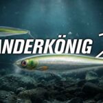 Zanderkönig 2.0