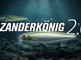Zanderkönig 2.0