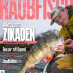 001_001_Titel_RF_02_26