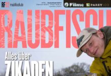 DER RAUBFISCH 2/2026 RAUBFISCH 2/2026