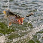 Die 10 Gebote für Hechtangler