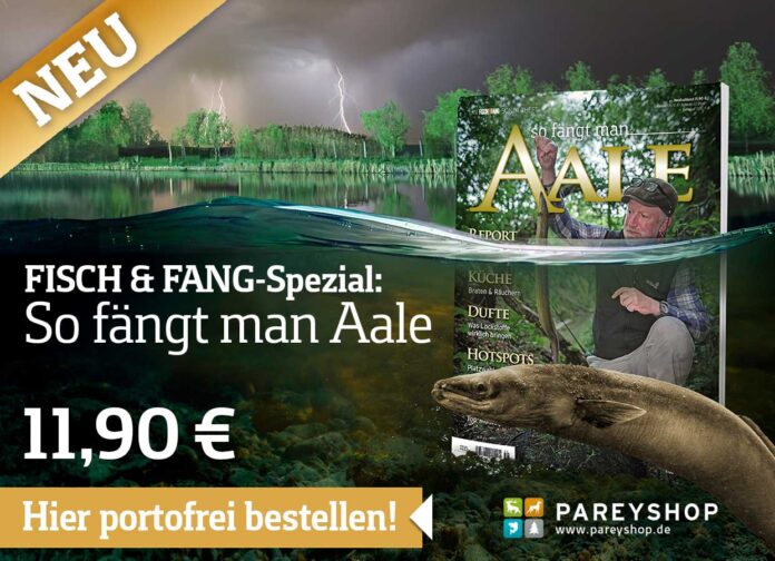 So fängt man Aale