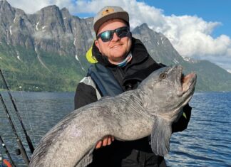 Reiseprofi gesucht – Vollzeit