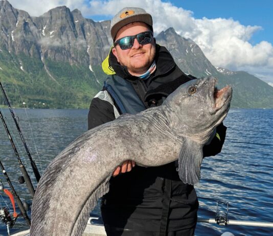 Reiseprofi gesucht – Vollzeit