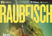 DER RAUBFISCH 3/2026 Raubfisch 3/2026
