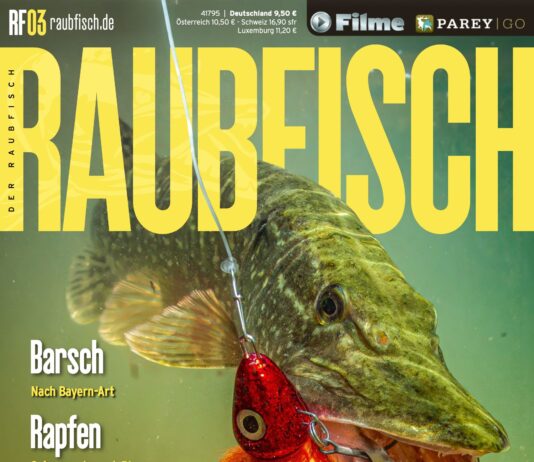 DER RAUBFISCH 3/2026 Raubfisch 3/2026