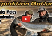Neues Sportex-Video: Monster-Meerforellen-Eskalation auf Gotland!