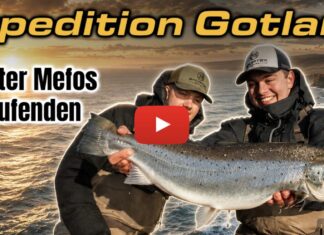 Neues Sportex-Video: Monster-Meerforellen-Eskalation auf Gotland!