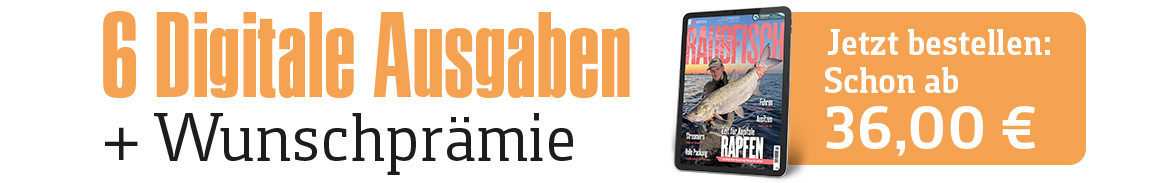 Aboangebot