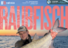 DER RAUBFISCH 5/2026 DER RAUBFISCH 5/2026