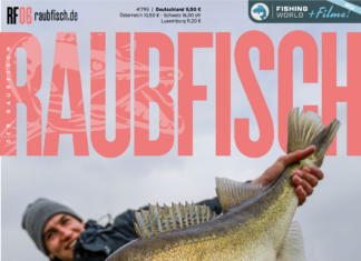 DER RAUBFISCH 6/2026 DER RAUBFISCH 6/2026