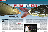 Wurm vs. Köfi